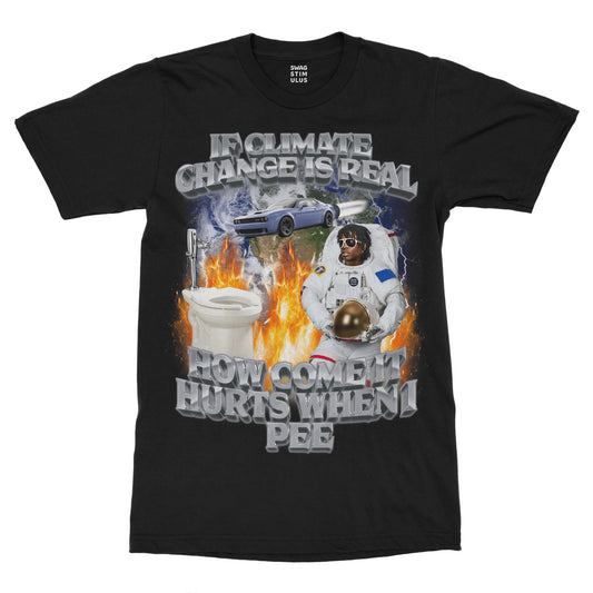 If Climate Change Is Real T-Shirt