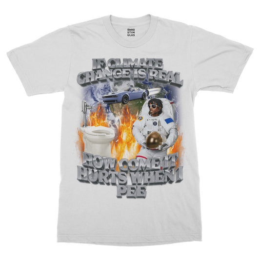 If Climate Change Is Real T-Shirt