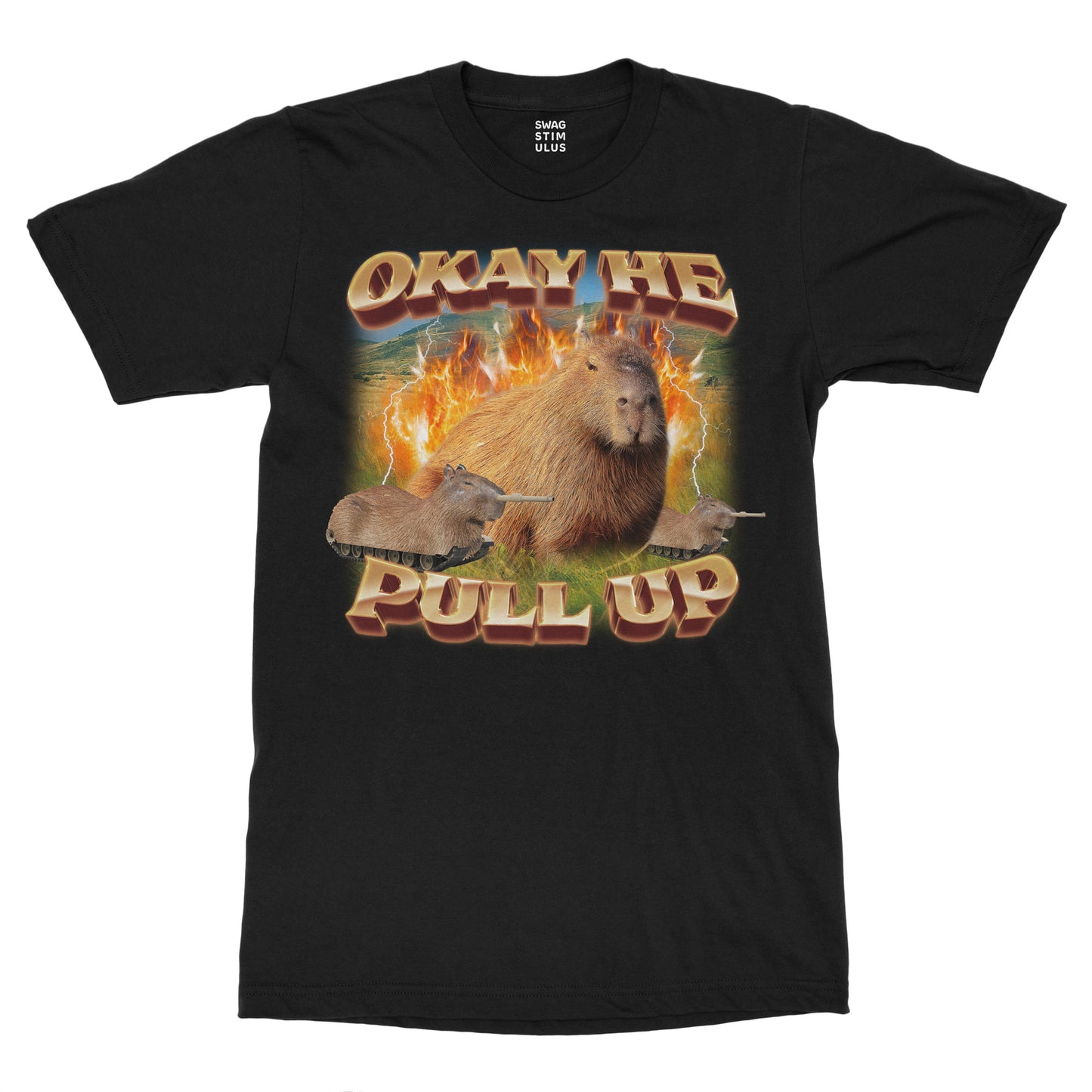 Okay He Pull Up Capybara T-Shirt