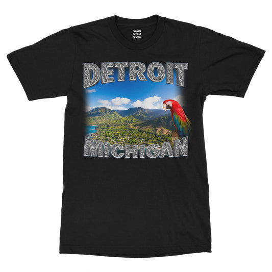 Detroit Michigan T-Shirt