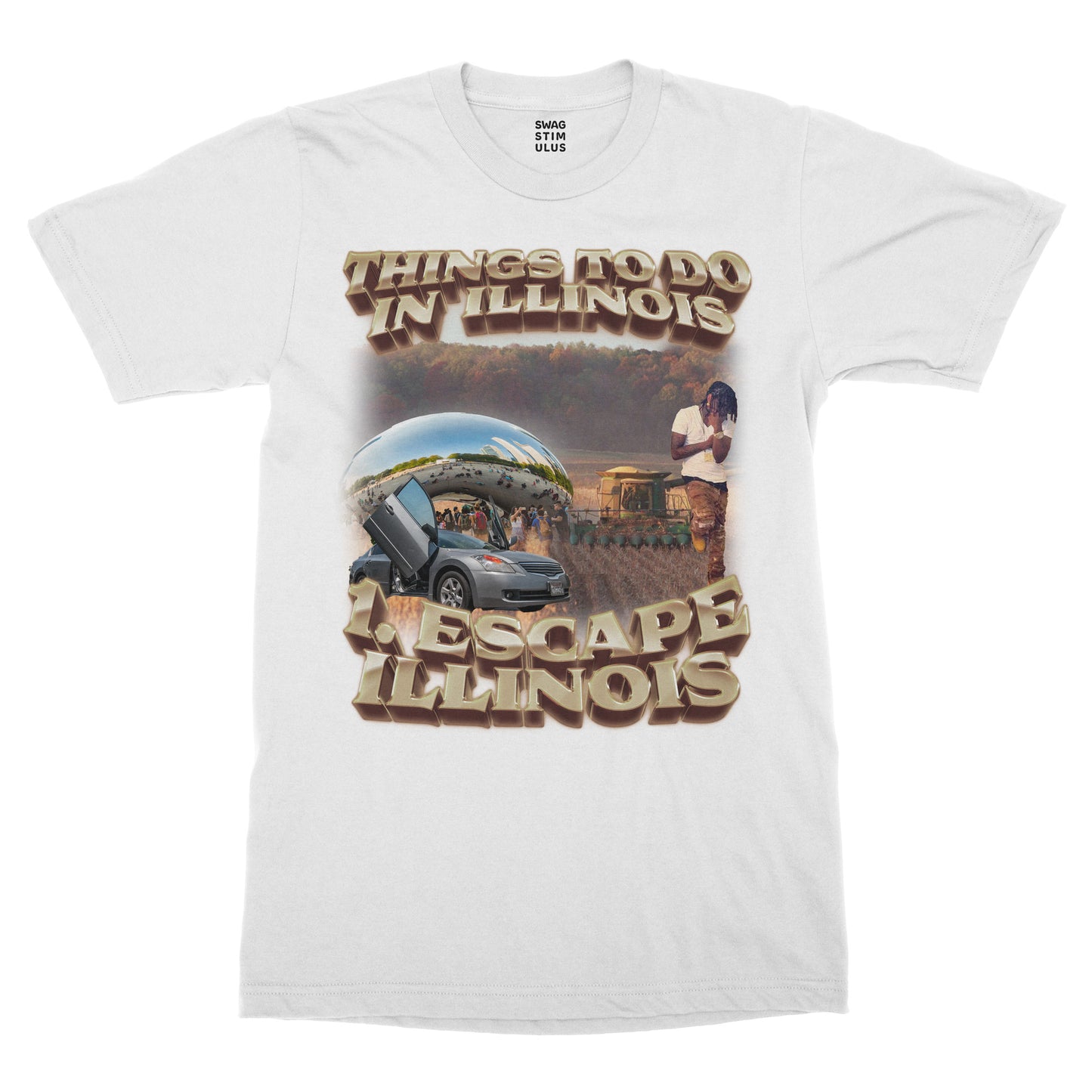 Things to do in Illinois T-Shirt