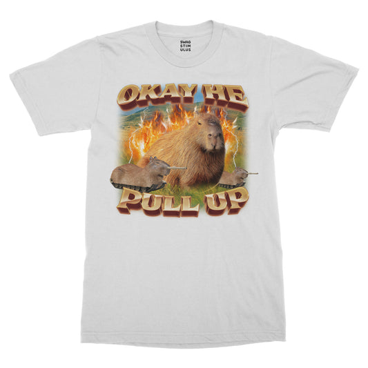 Okay He Pull Up Capybara T-Shirt